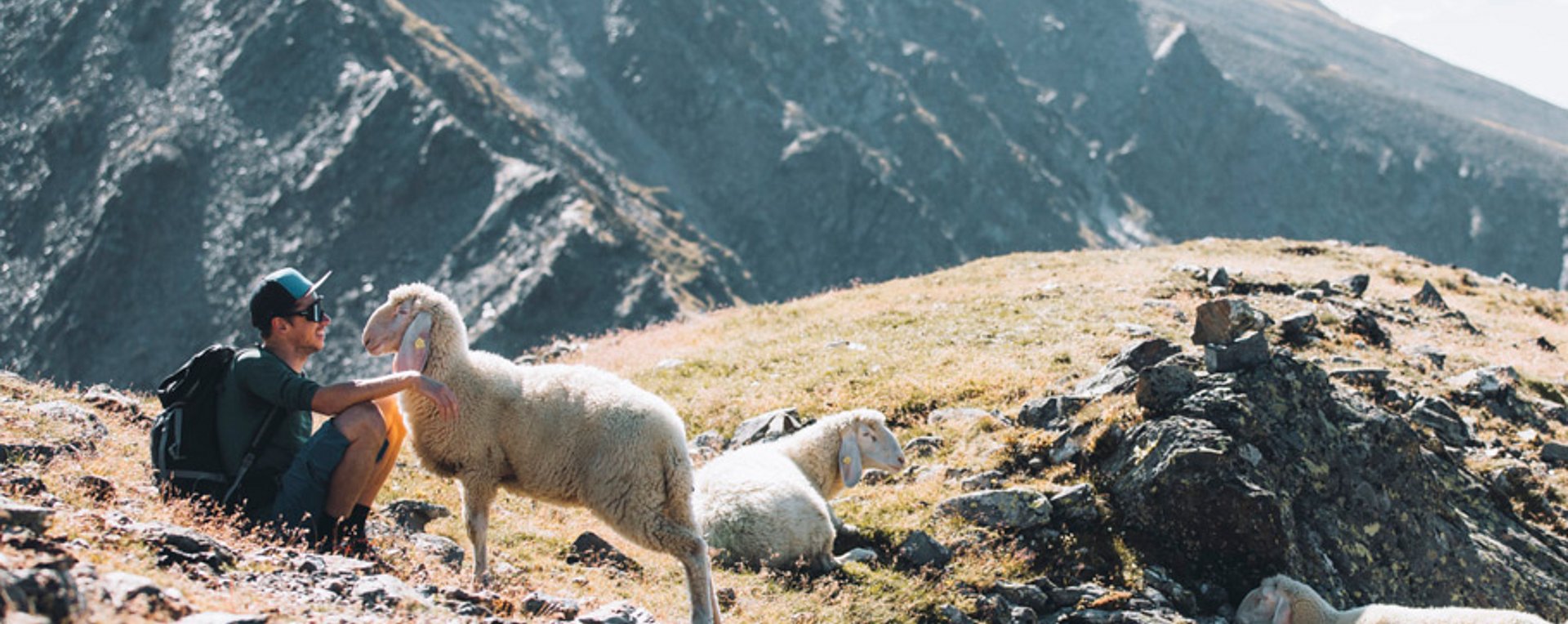 Wanderer am Brunnenkogel mit Schafe