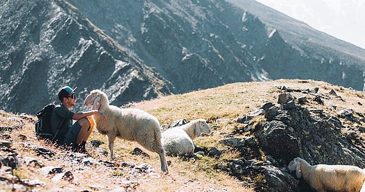 Wanderer am Brunnenkogel mit Schafe