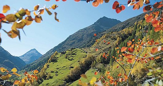 Herbstliche Berglandschaft