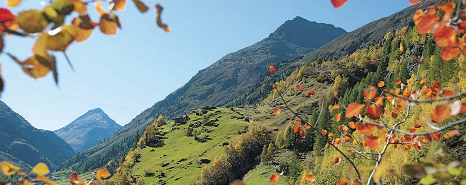 Herbstliche Berglandschaft